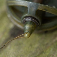 Korum Smokescreen Quick Change Bolt Beads
